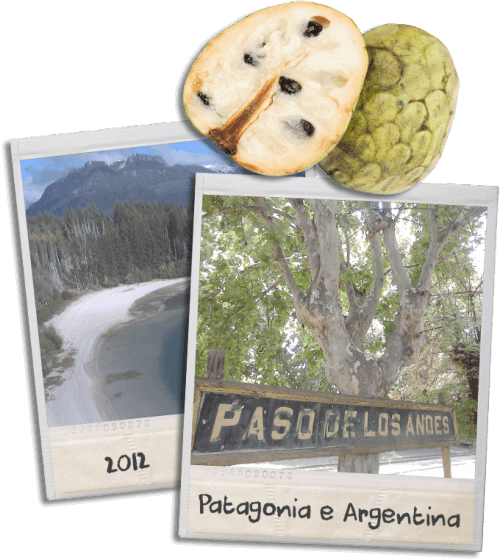 Patagonia e Argentina - anno 2012